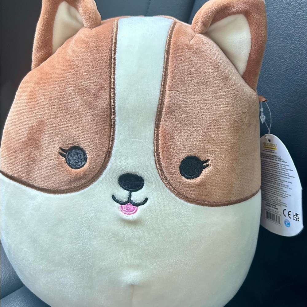 NWT RARE Squishmallow Regina with rainbow tail